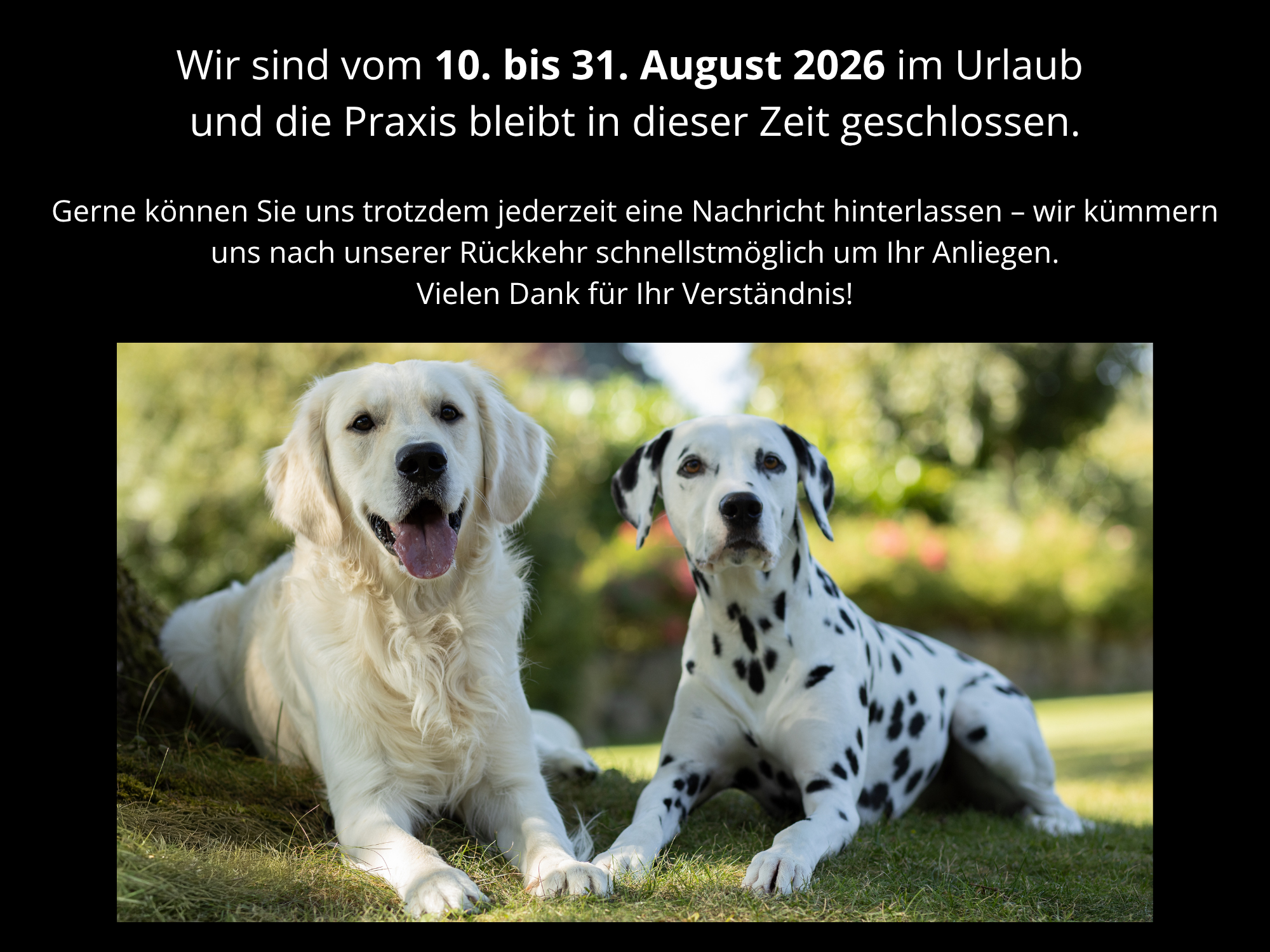 Ein Pferdekopf, der dem Logo der Seite ähnelt.
