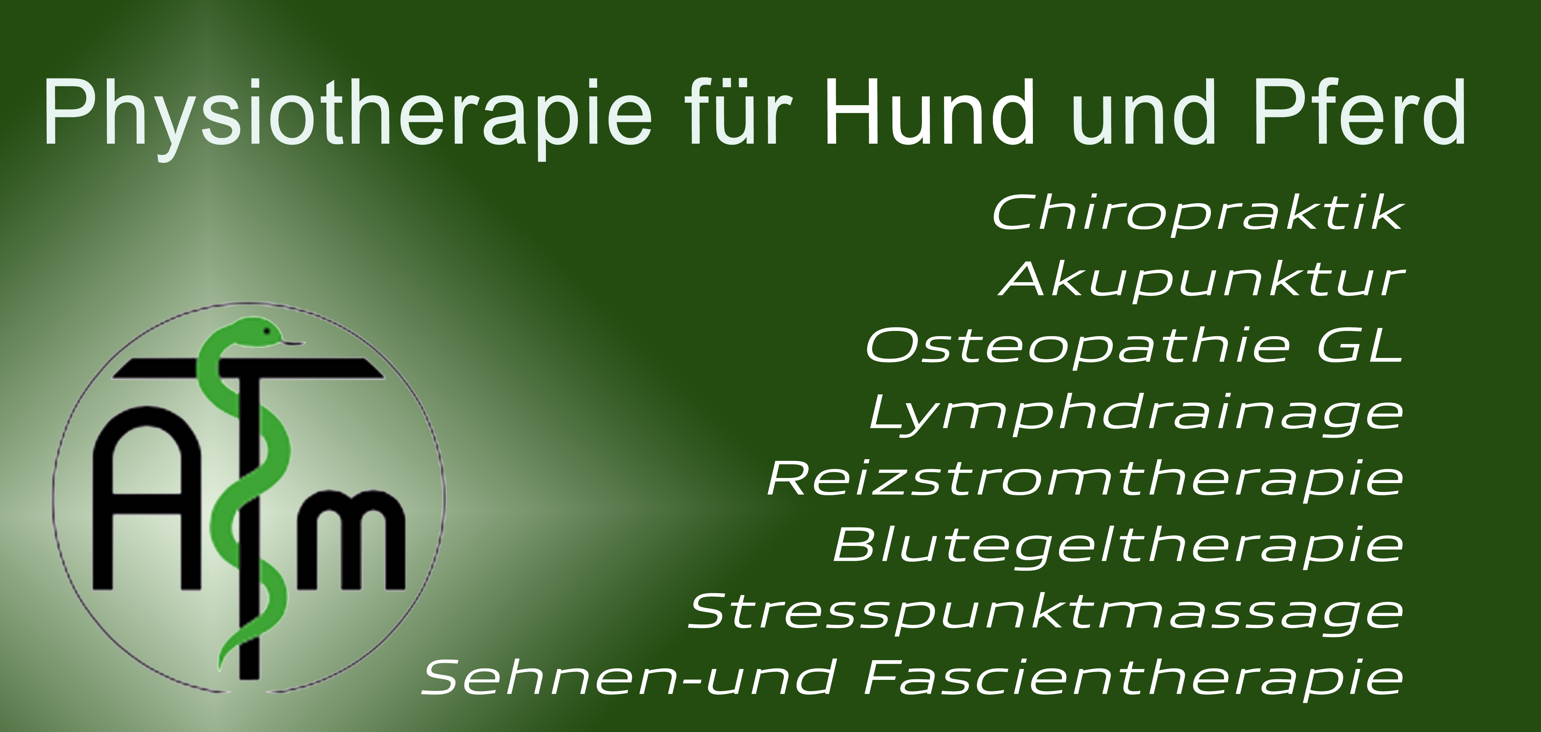 Ein Pferdekopf, der dem Logo der Seite ähnelt.